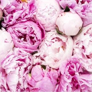 Meet your Posher, Kathryn